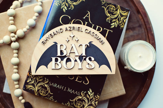 Bat Boys Bookshelf Signs